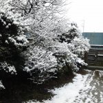 ２日連続の降雪・・・