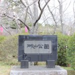 水郷おみがわ桜つつじ祭り！　城山公園の開花状況（3/23時点）