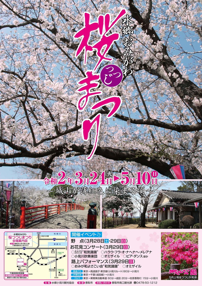 小見川桜つつじ祭り 千葉県でも有数の観光スポットの桜の開花が始まりました