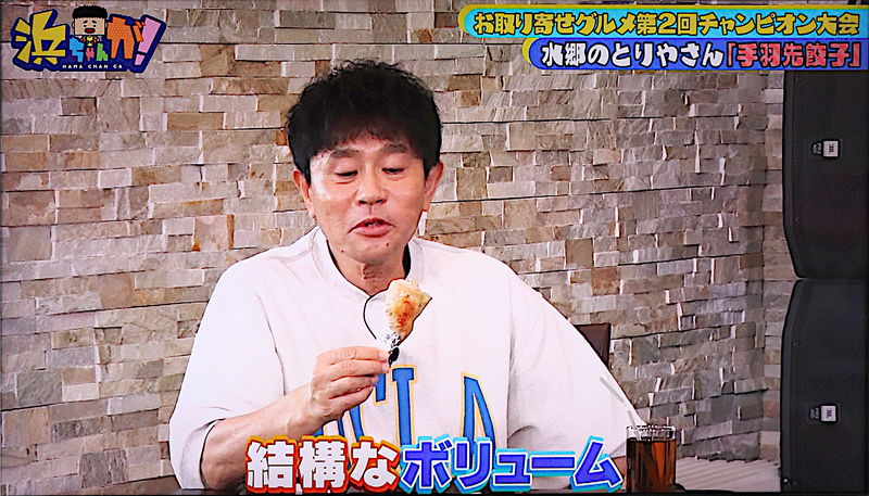 浜ちゃんが！芸能人・お取り寄せグルメ 第2回チャンピオン大会編 浜田さん手羽先餃子のボリュームにに驚く